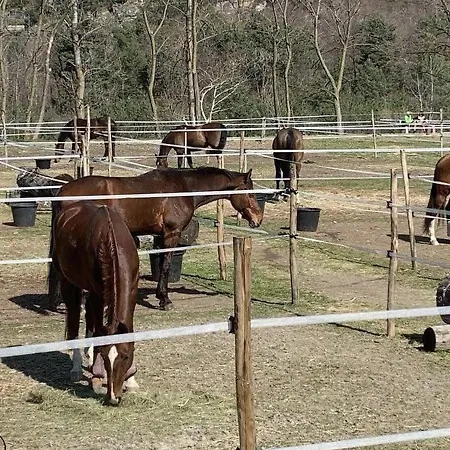 7rooms Bed & Breakfast Losone