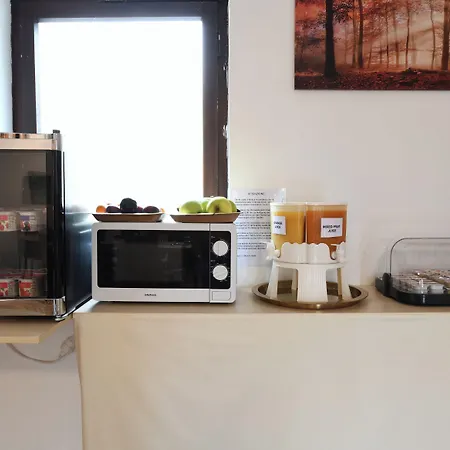 Bed & Breakfast 7rooms Losone